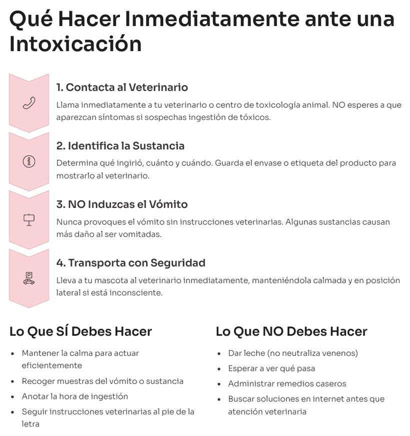Página del material: Qué hacer ante una intoxicación