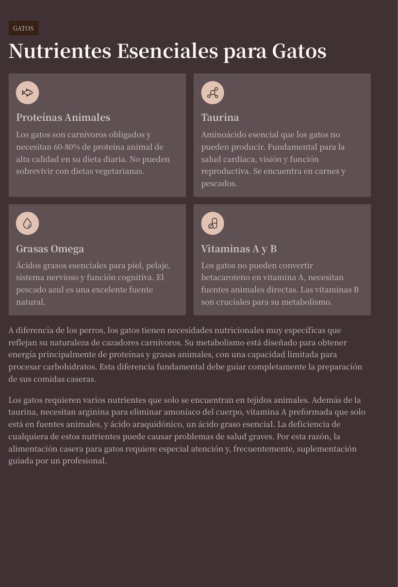 Página del material: Nutrientes esenciales para gatos